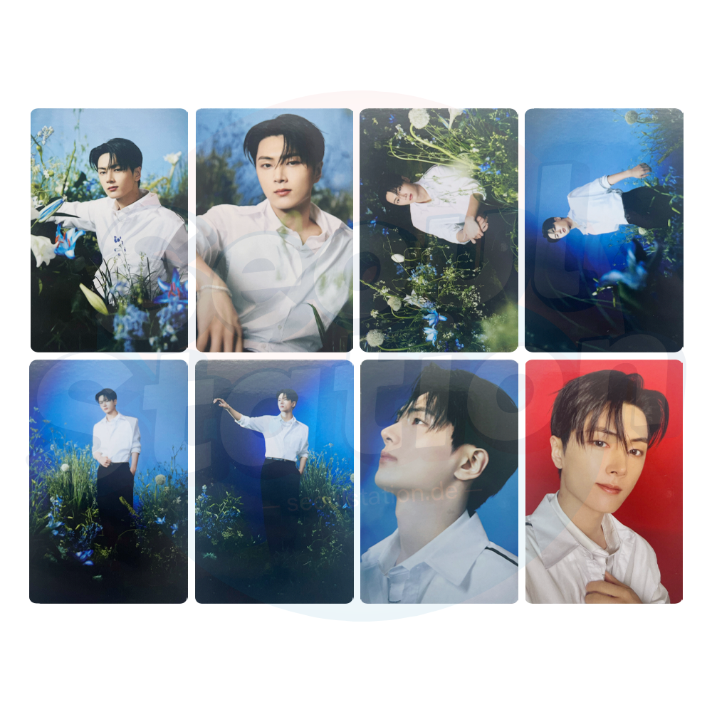 ENHYPEN - World Tour 'WALK THE LINE : FINAL' - Official MD Trading Card - JAY