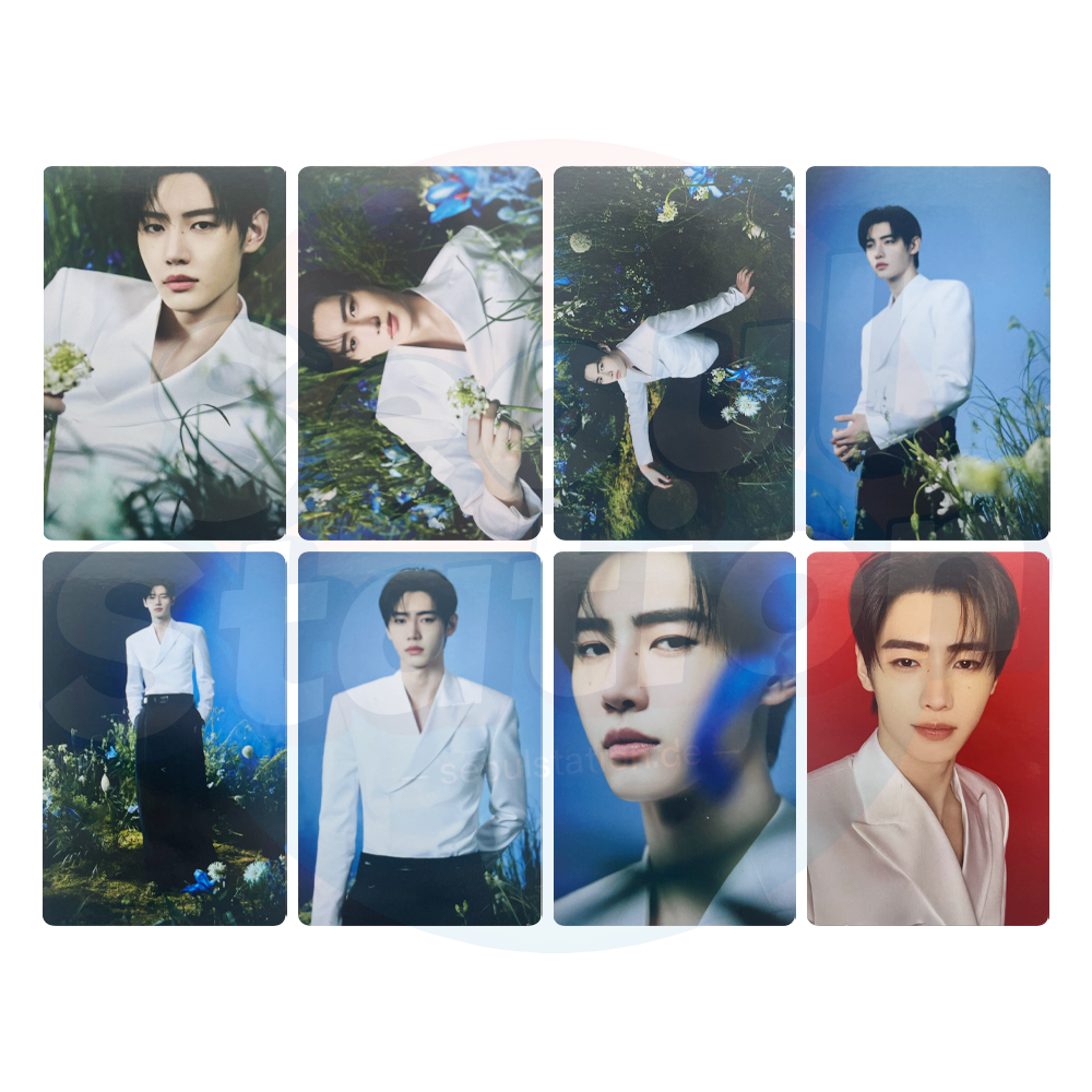 ENHYPEN - World Tour 'WALK THE LINE : FINAL' - Official MD Trading Card - SUNGHOON