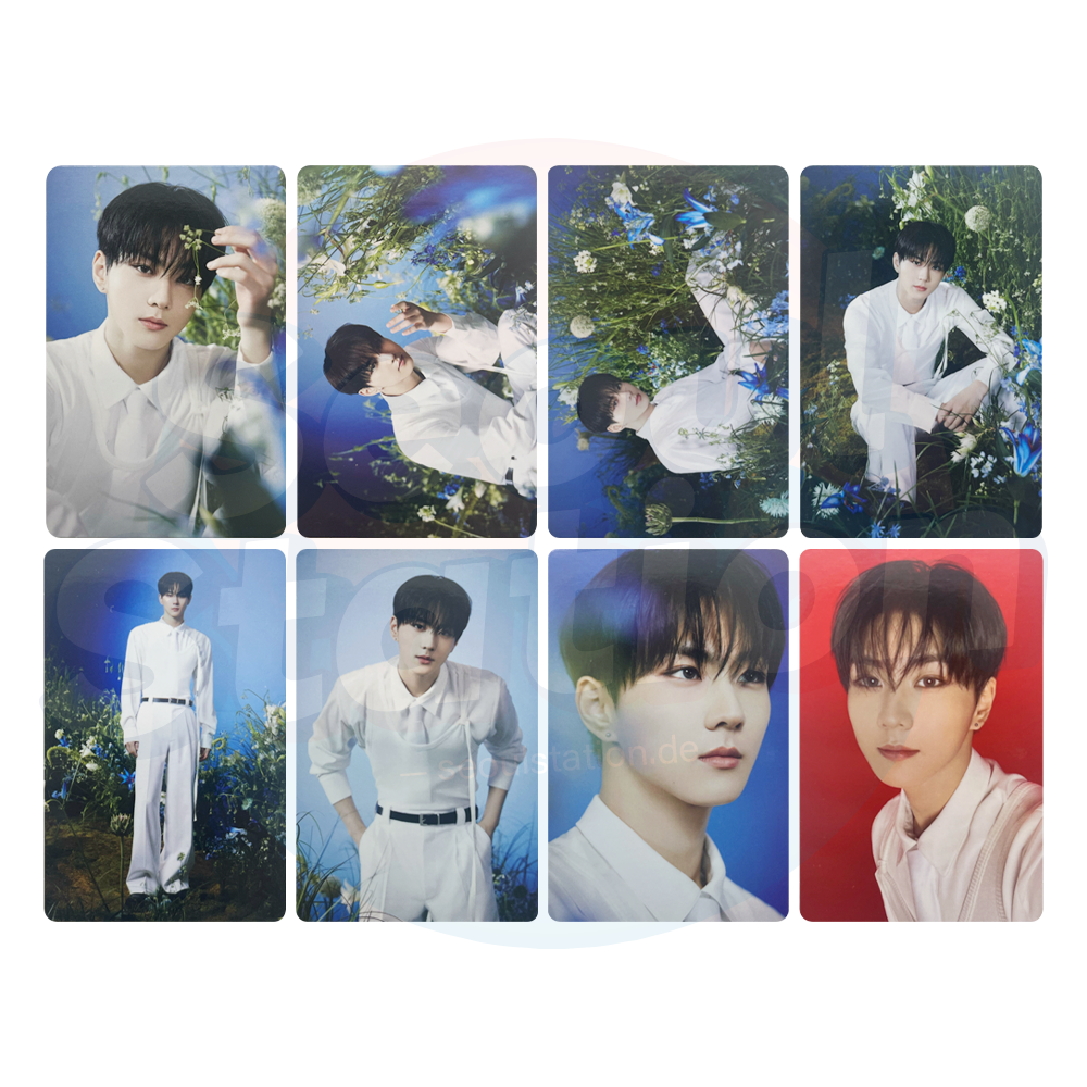 ENHYPEN - World Tour 'WALK THE LINE : FINAL' - Official MD Trading Card - JUNGWON