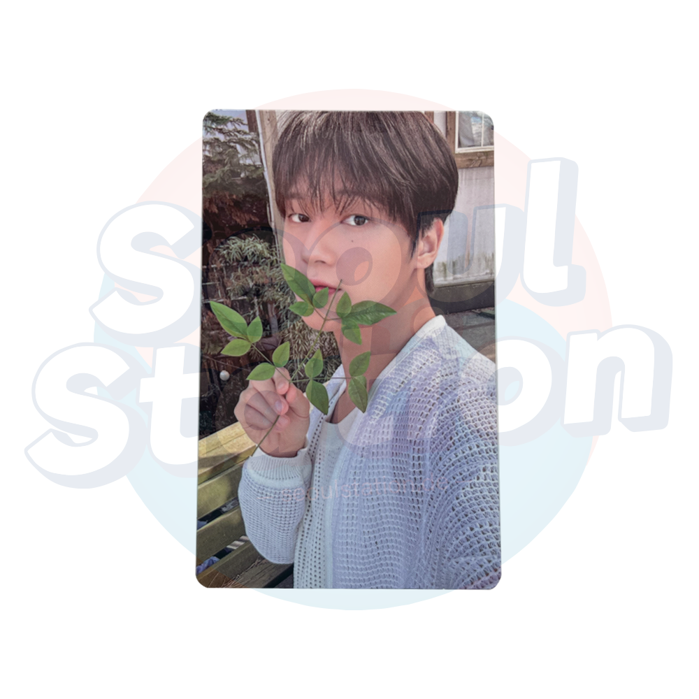 ATEEZ - 4th Photobook - Summer Photobook - KQ Photo Card