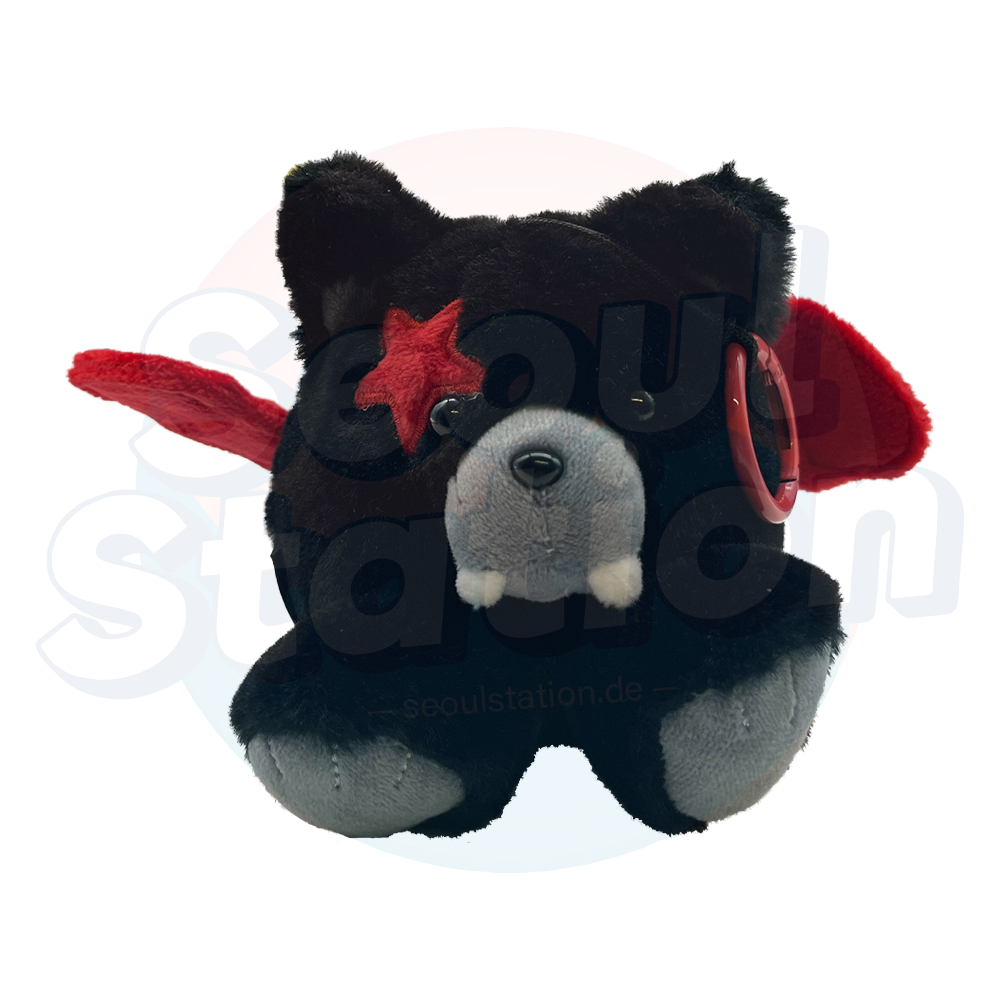 ENHYPEN - 7th Mini Album 'THE SIN : VANISH' - Voice Keyring Ver. (Bitte Beschreibung lesen!) heeseung