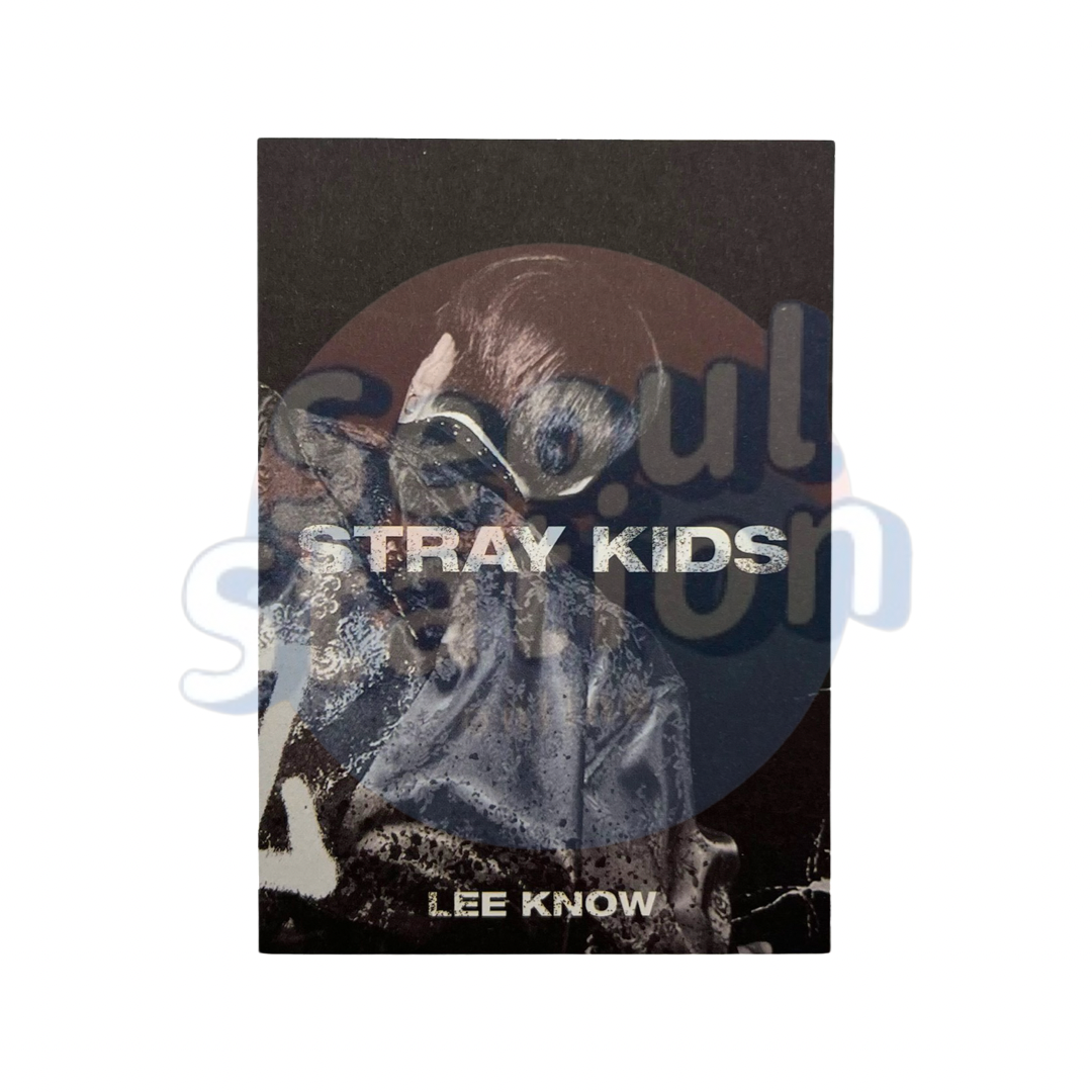 Stray Kids - 生: IN LIFE - Repackage Album Vol. 1 (Limited Edition) - Mini Booklet - Lee Know